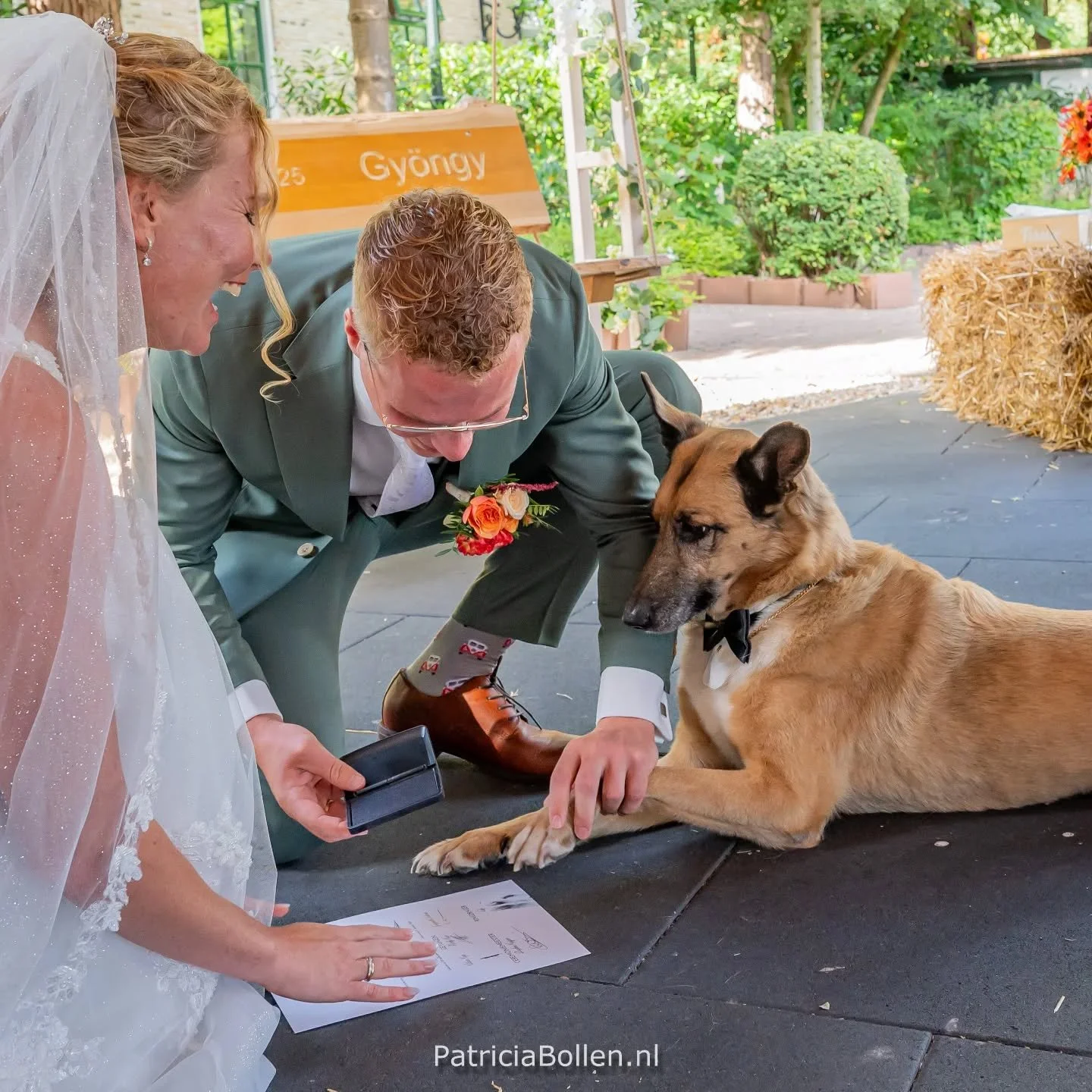 Kijk hoe leuk! Loefie mocht ook een poot afdruk zetten op zijn eigen akte. 🐶
Ik geniet ervan als huisdieren een rol krijgen in de ceremonie. Jullie doen veel moeite om jullie harige vrienden erbij te hebben en als trouwambtenaar zorg ik ervoor dat