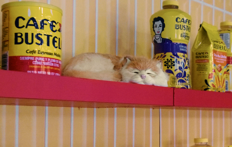 Classic Bodega Cat