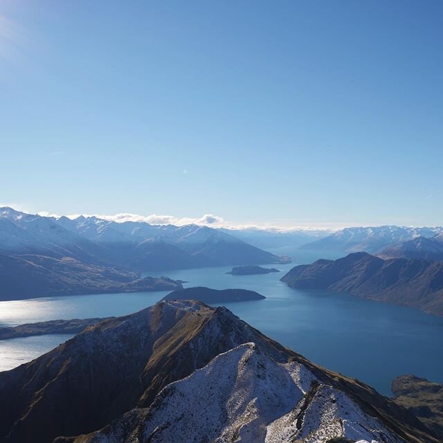 ZINC &amp; THE IMMUNE SYSTEM!

Zinc is an absolute superstar nutrient, being involved in over 200 enzyme reactions within the body. Zinc is a vital mineral for our immune system, helping fight inflammation, viruses, and infections. It is essential fo