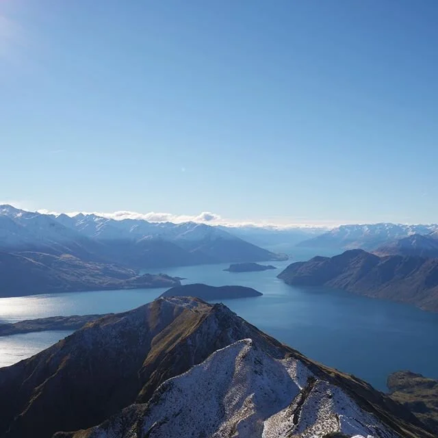 ZINC &amp; THE IMMUNE SYSTEM!

Zinc is an absolute superstar nutrient, being involved in over 200 enzyme reactions within the body. Zinc is a vital mineral for our immune system, helping fight inflammation, viruses, and infections. It is essential for our hormones, blood glucose management, wound healing, regulating cortisol levels and stress response, and maintaining integrity of collagen in connective tissue and hair.

Unfortunately, most soils in the world are deficient, including here in NZ, therefore the produce grown in the soil is also deficiency. These days the only real food sources of zinc include oysters, and small amounts in beef lamb, eggs, and seeds (mainly pumpkin). Unfortunately, it is very difficult to reach our RDI of zinc from eating these foods therefore most people are not getting enough of this vital mineral.

On top of this, it has also been shown that the oral contraceptive pill rapidly depletes zinc levels in the body, along with other vital nutrients including folic acid, B2, B6, B12, vitamin C, vitamin E, magnesium, and selenium.

So, should we be supplementing with zinc? Everyone requires different unique needs, and zinc blood and taste testing are available to help with this process. If you would like to know more please feel free to message me!