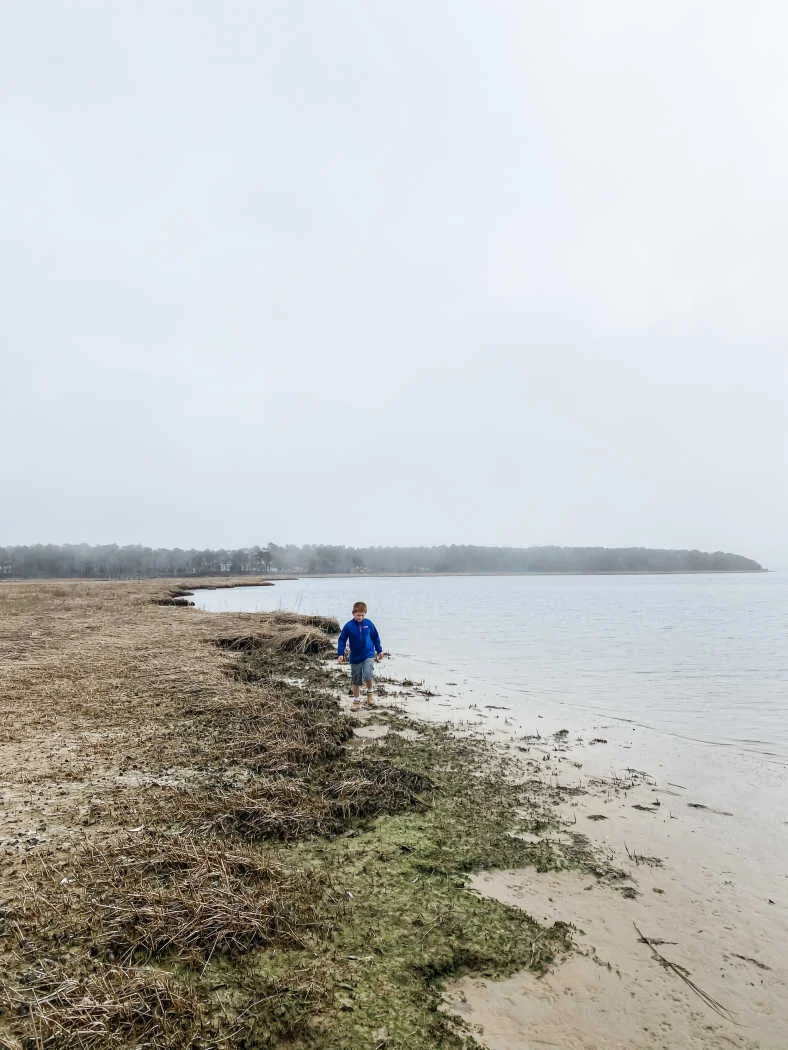 Crocker Neck Conservation Area — Barnstable Land Trust