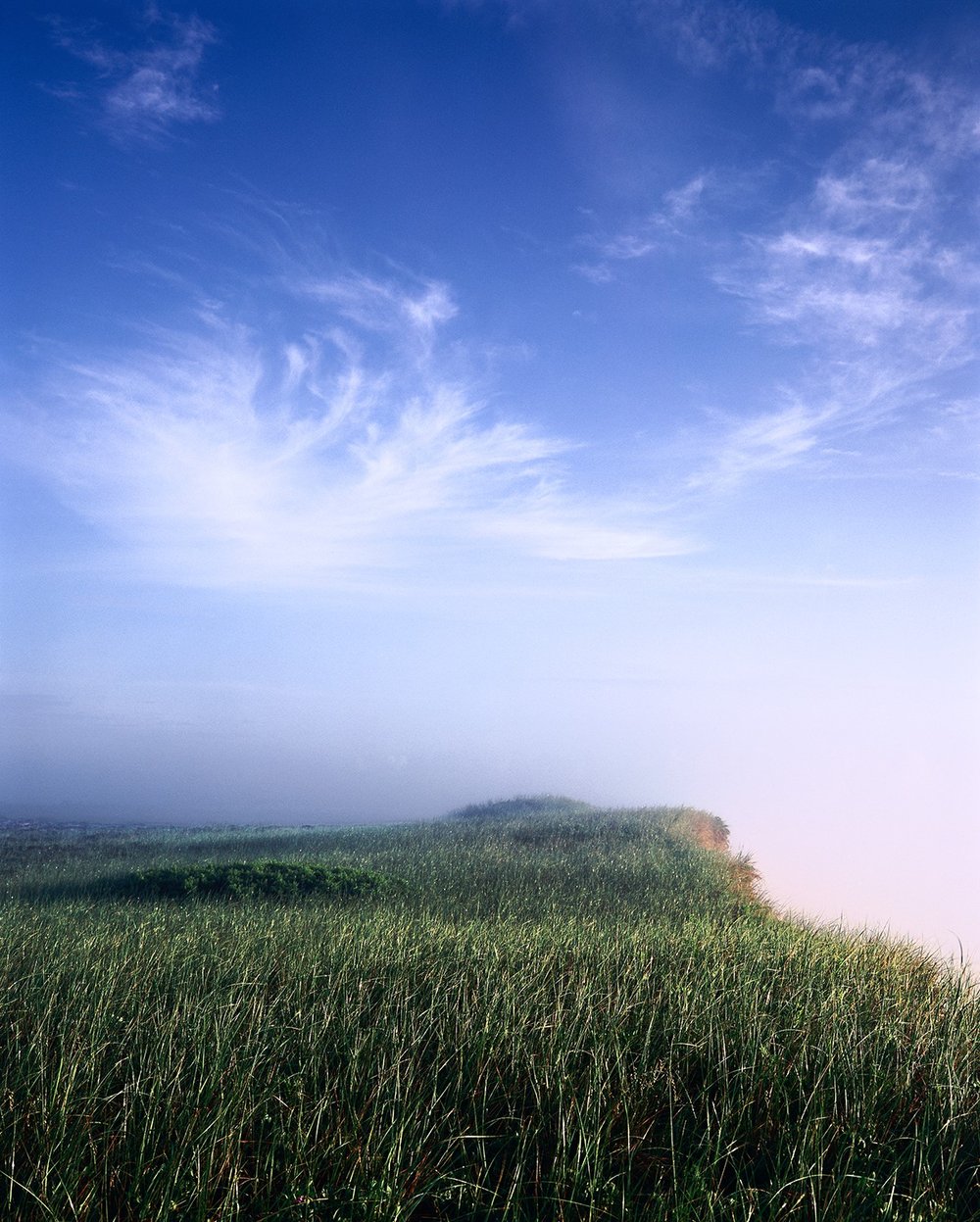 Beach Grass, bank's edge, Cape Cod @scotmiller