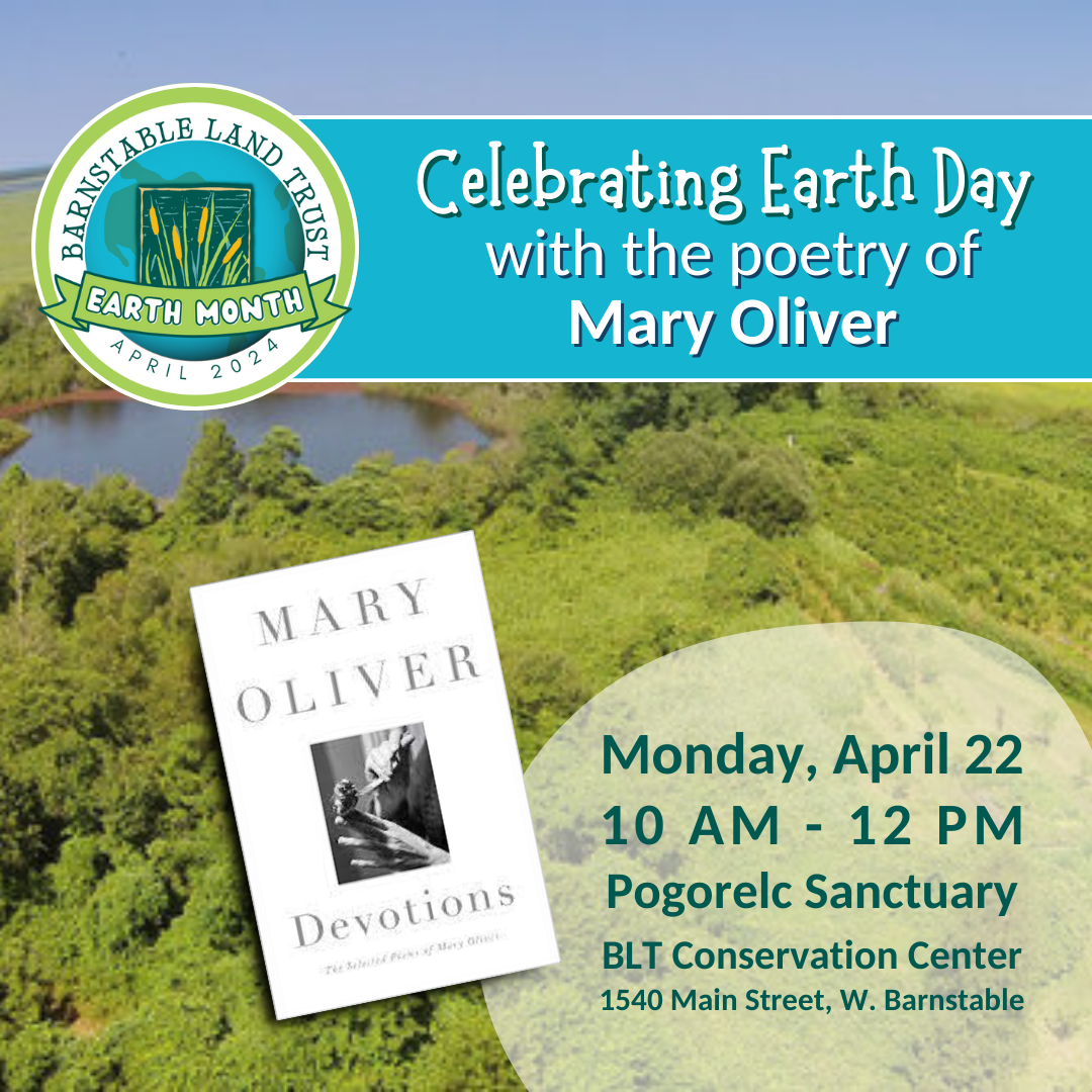 Celebrating Earth Day with the Poetry of Mary Oliver