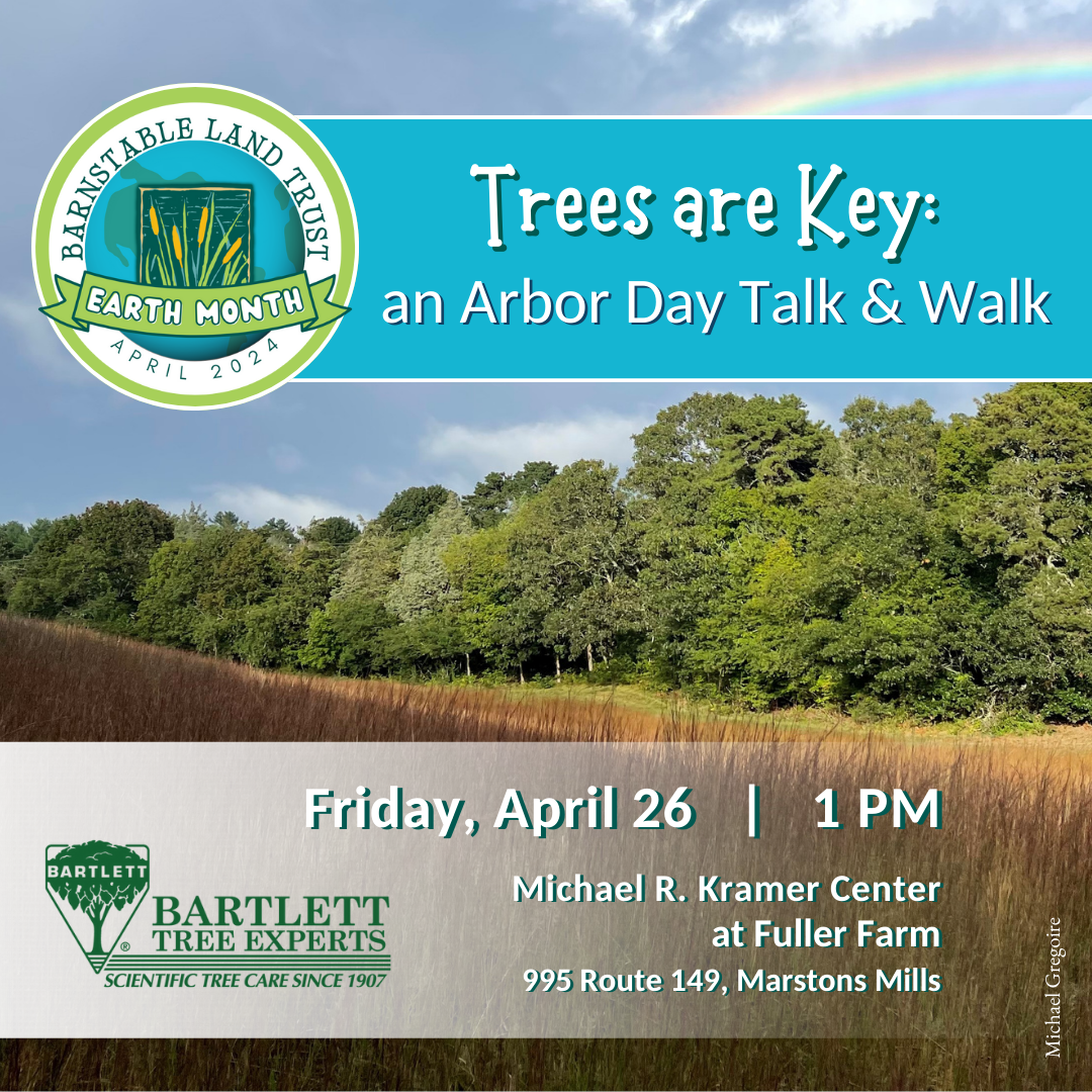 Trees are Key: An Arbor Day Talk and Walk