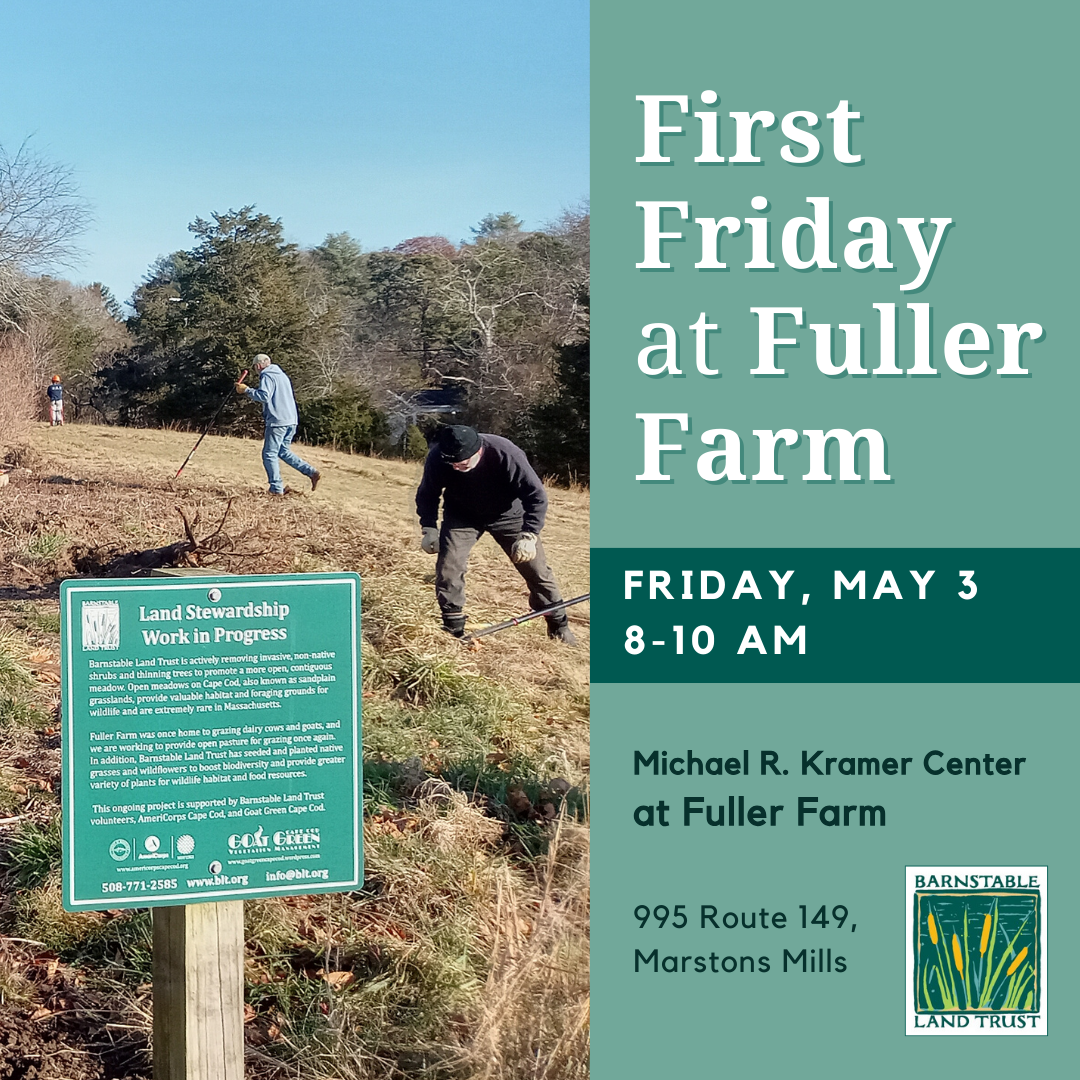 First Friday at Fuller Farm