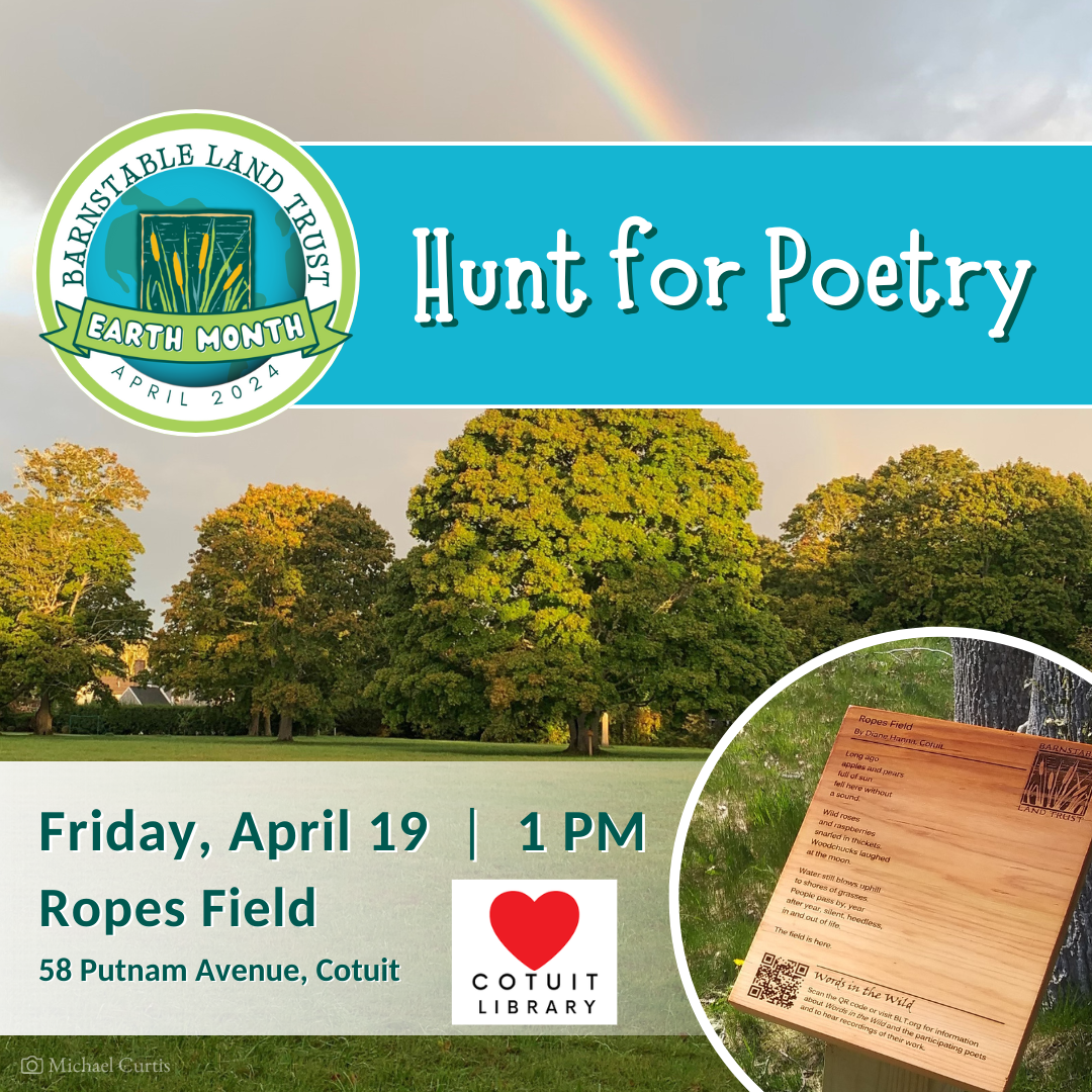 Celebrate Earth Month: Hunt for Poetry