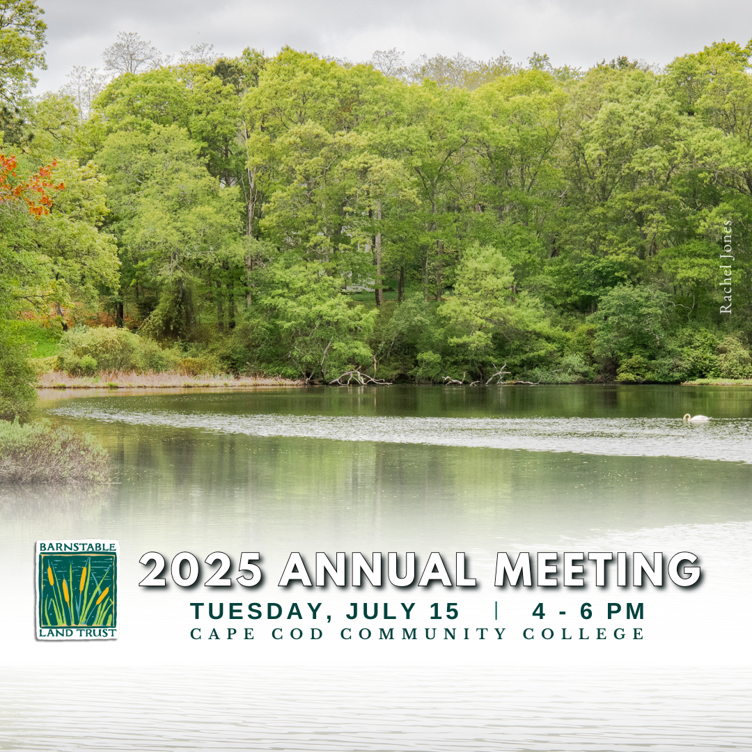 2025 Annual Meeting