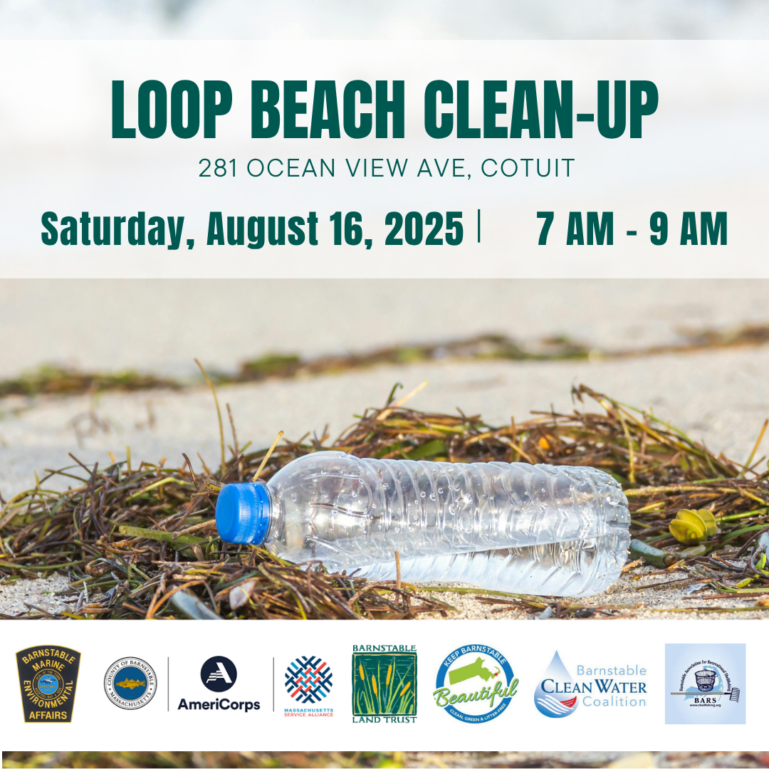 Loop Beach Clean-up