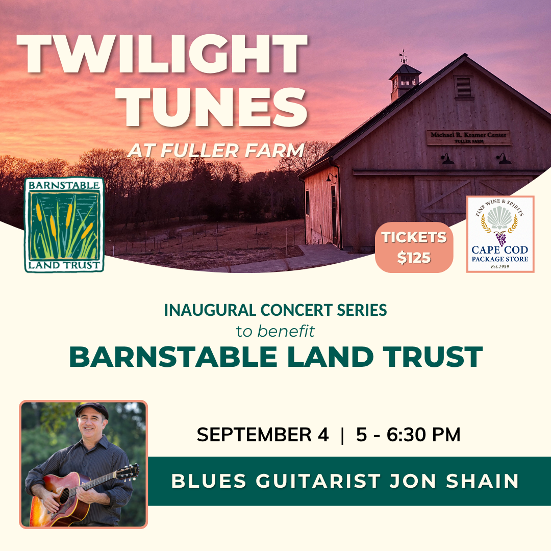 Twilight Tunes: Blues Guitarist Jon Shain