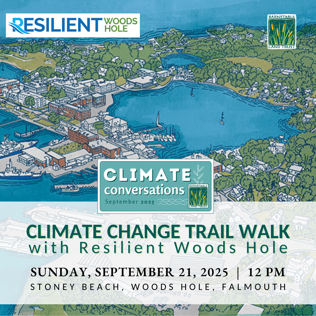 Climate Change Trail Walk with Resilient Woods Hole