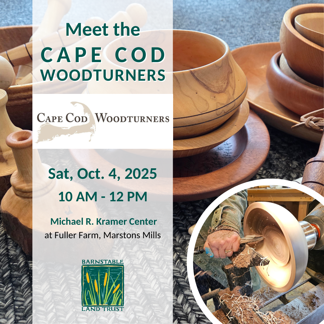 Meet the Cape Cod Woodturners