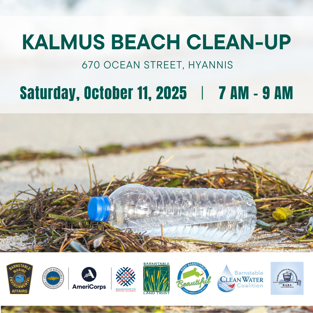 Kalmus Beach Clean-up