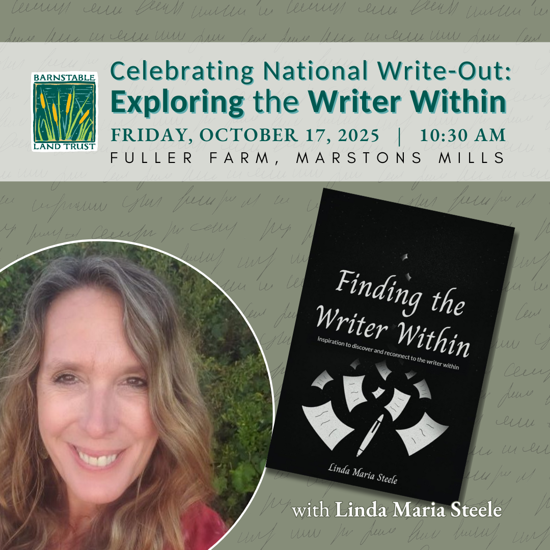 Celebrating National Write-Out: Exploring the Writer Within with Linda Maria Steele