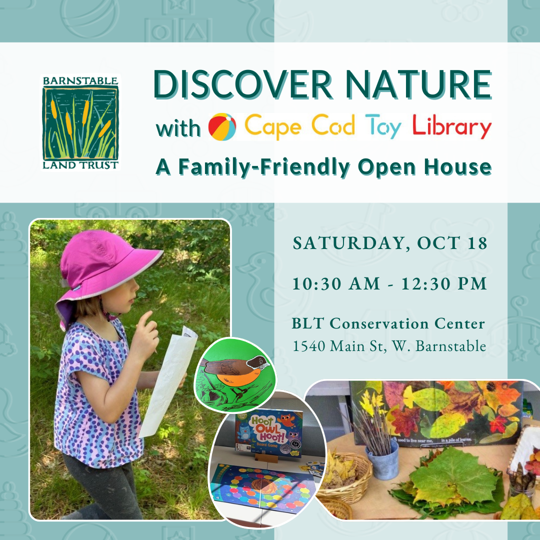 Discover Nature: A Family-friendly Open House with Cape Cod Toy Library