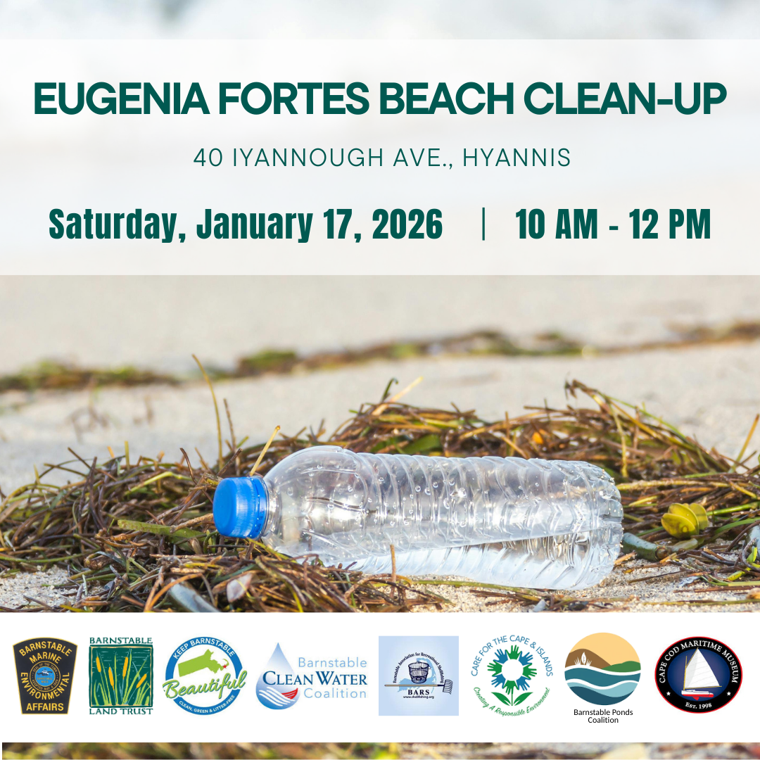 Eugenia Fortes Beach Clean-up