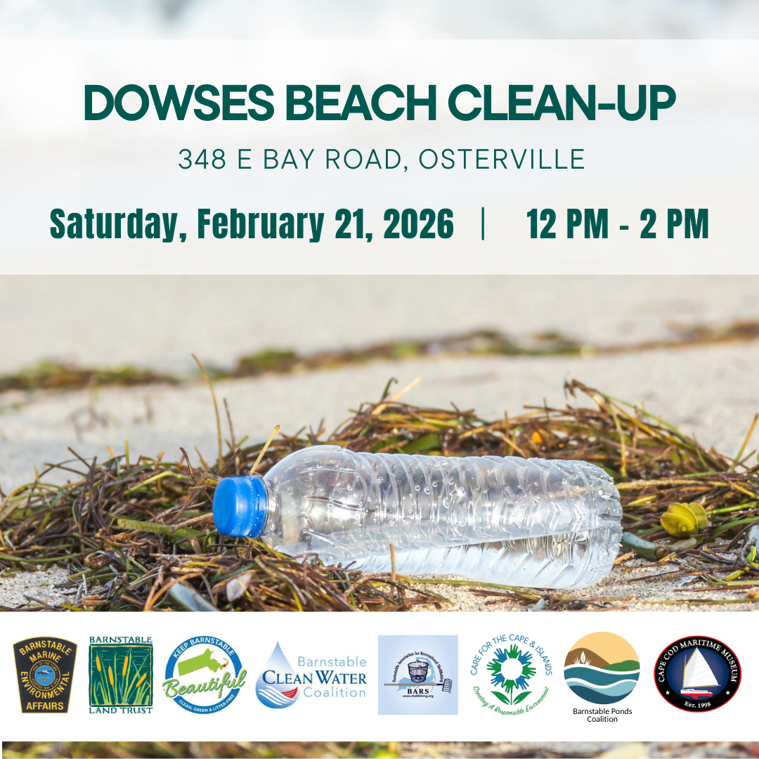 Dowses Beach Clean-up