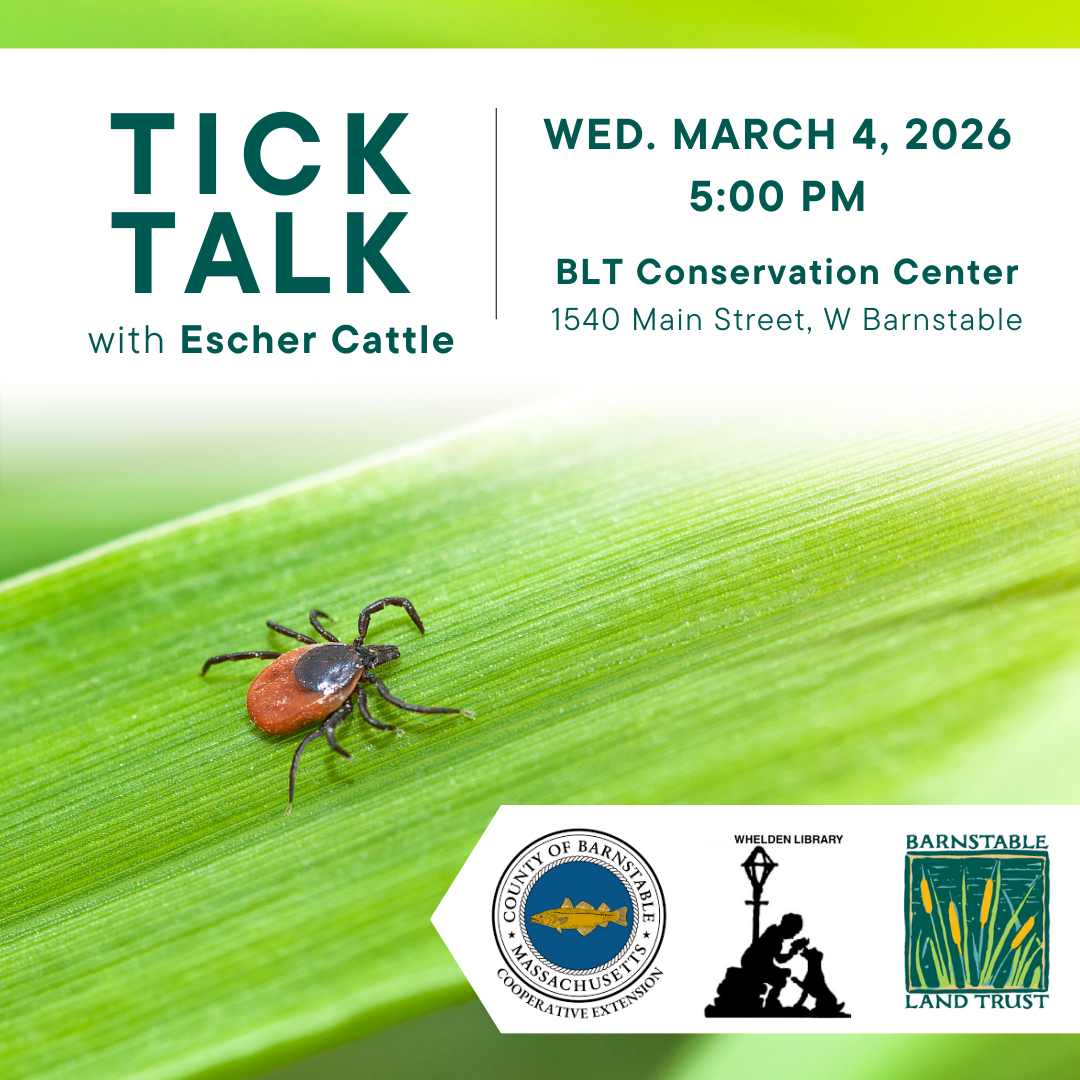 Tick Talk with Escher Cattle