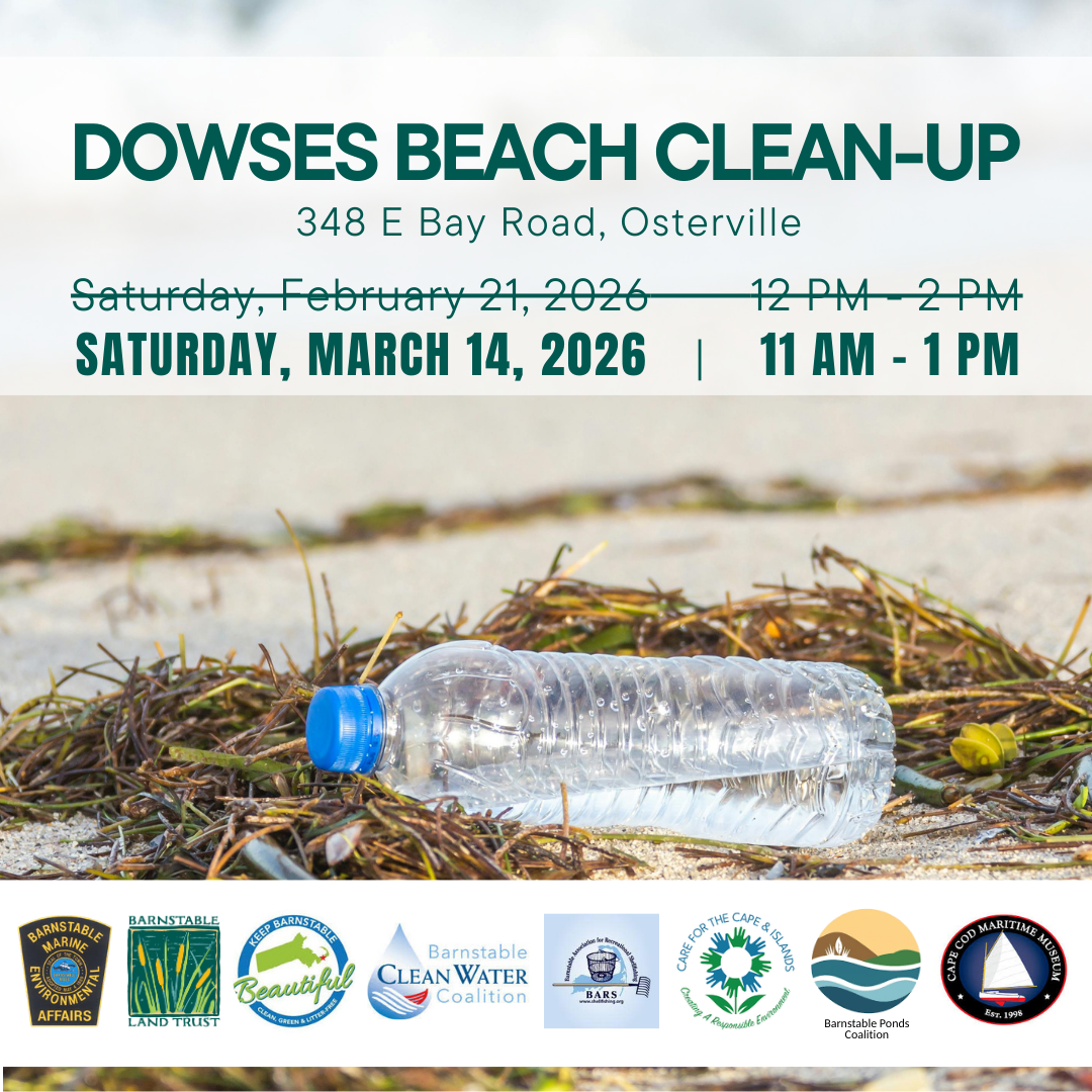 Dowses Beach Clean-up (Partner Program)