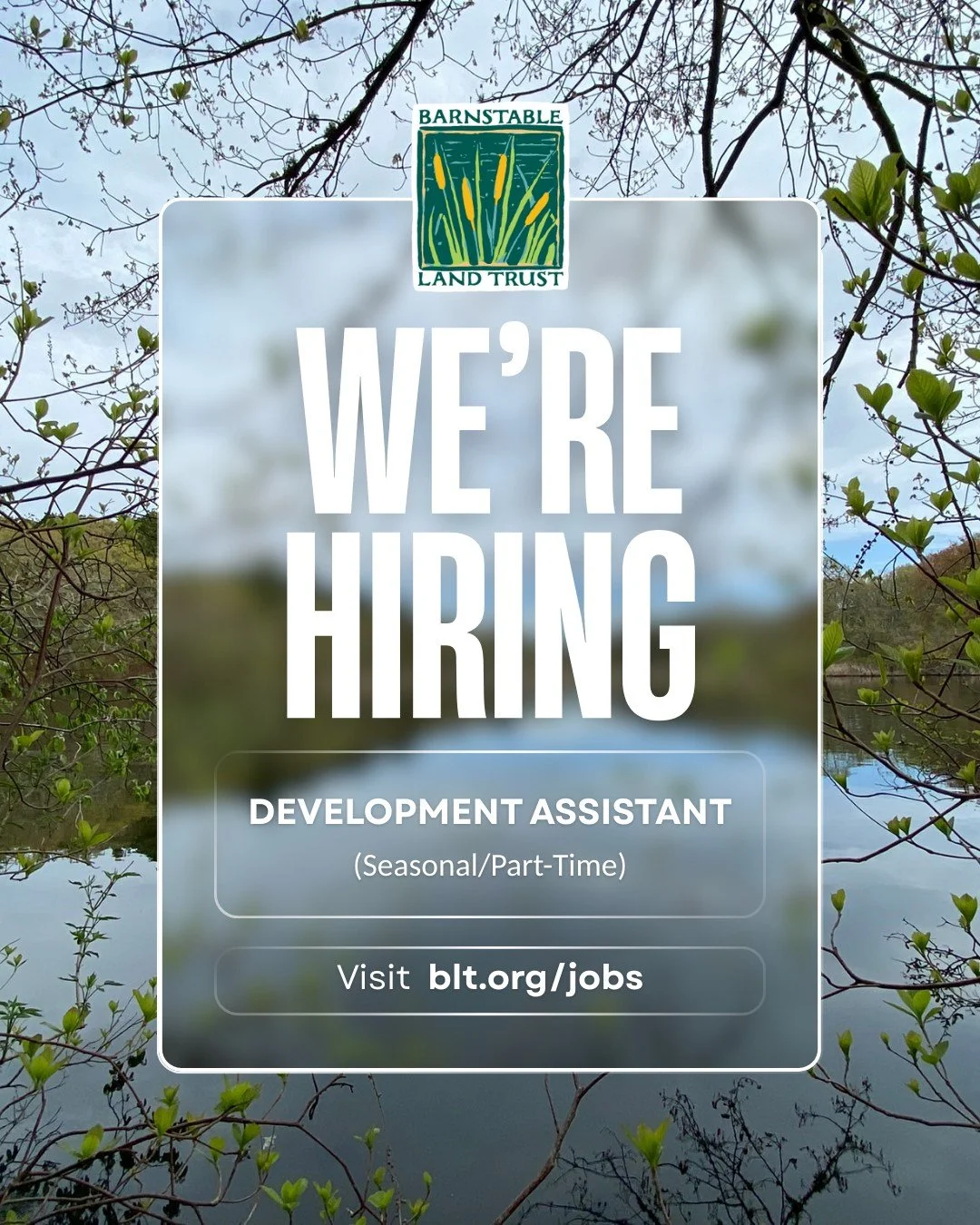 Join our team at Barnstable Land Trust! We&rsquo;re hiring a seasonal Development Assistant (part-time, April&ndash;August) to help with fundraising, donor engagement, events, and outreach as part of our mission to protect and care for the special pl