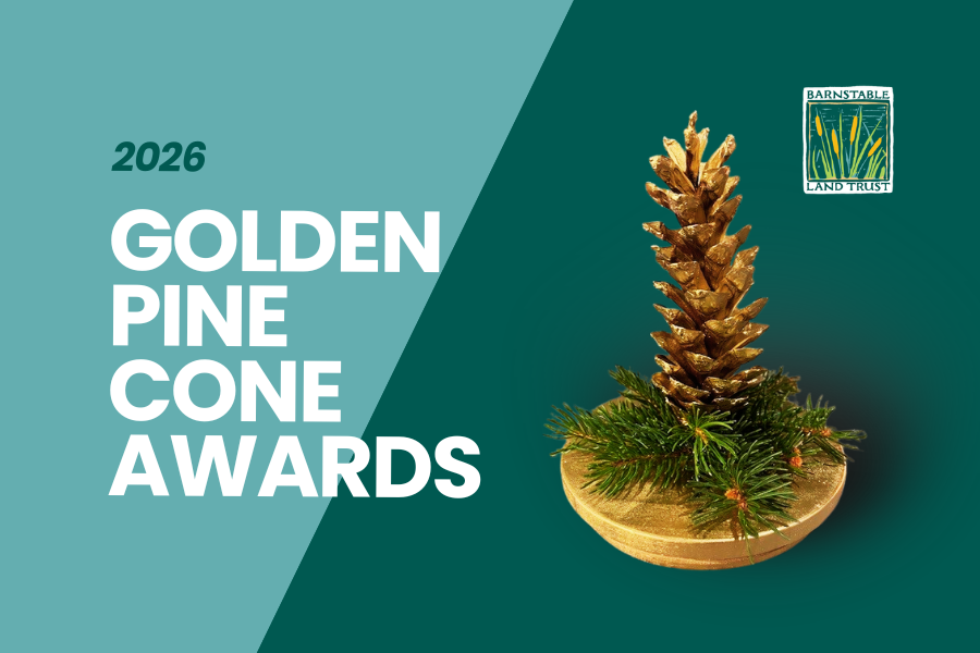 BLT Announces the 2026 Golden Pine Cone Award Winners