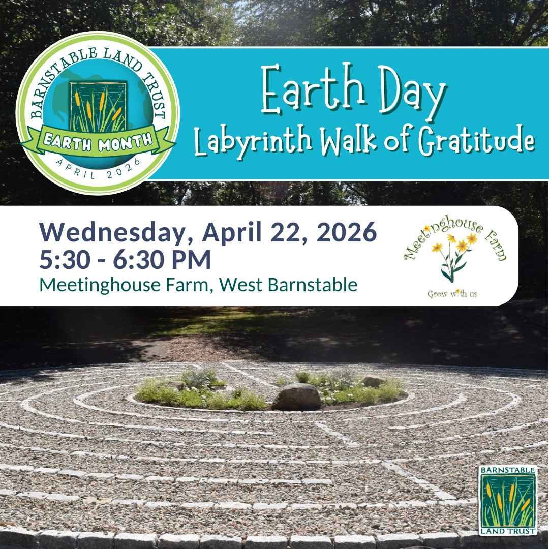 Earth Day Labyrinth Walk of Gratitude (Partner Program)