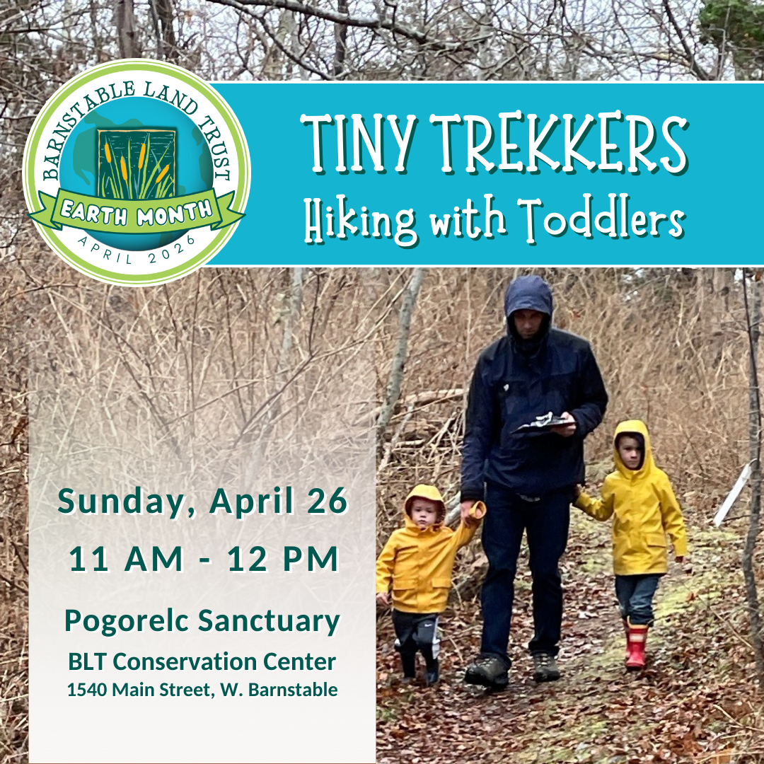 Tiny Trekkers: Hiking with Toddlers (Partner Program)