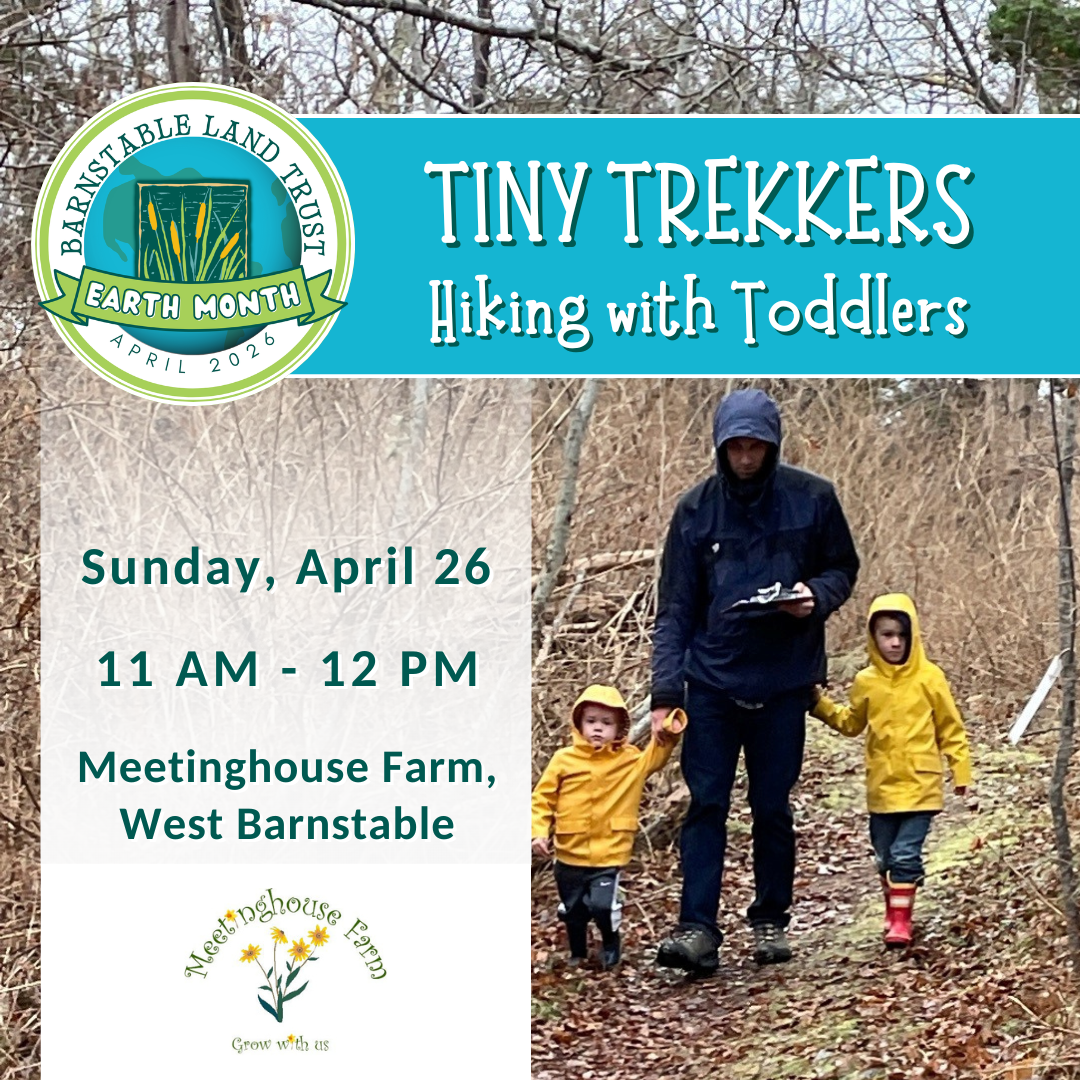 Tiny Trekkers: Hiking with Toddlers (Partner Program)