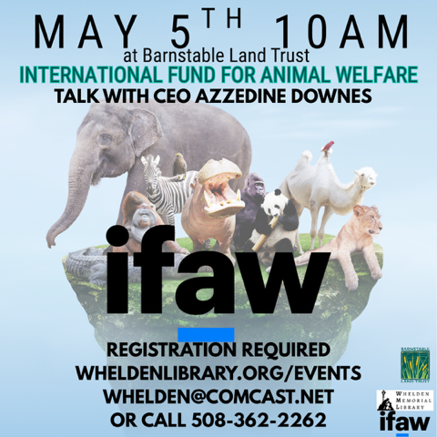 International Fund for Animal Welfare: A Talk with CEO Azzedine Downes