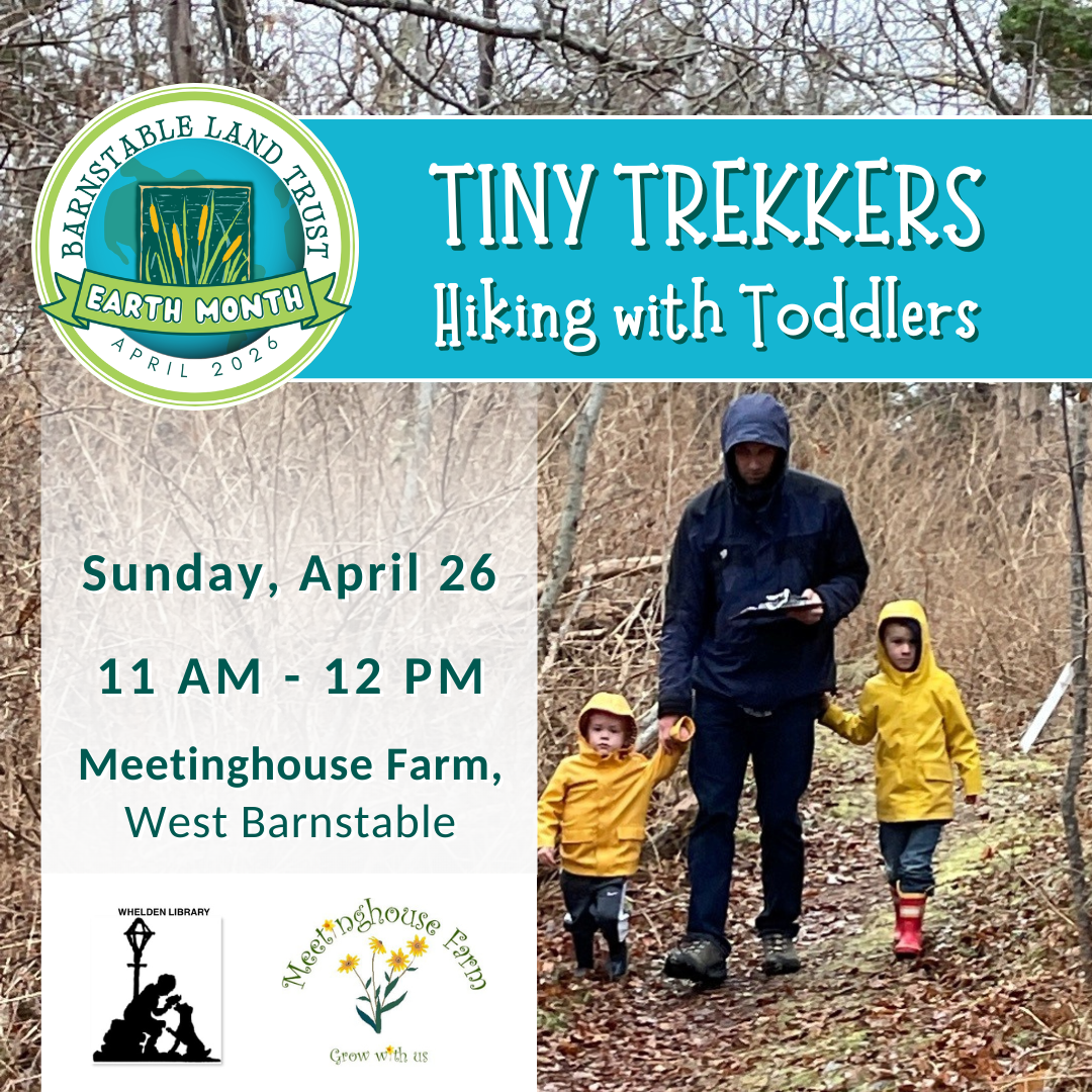 Tiny Trekkers: Hiking with Toddlers (Partner Program)
