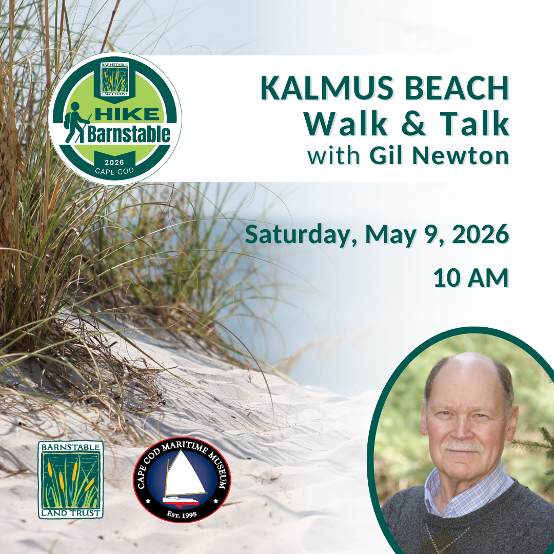 Kalmus Beach Walk &amp; Talk with Gil Newton