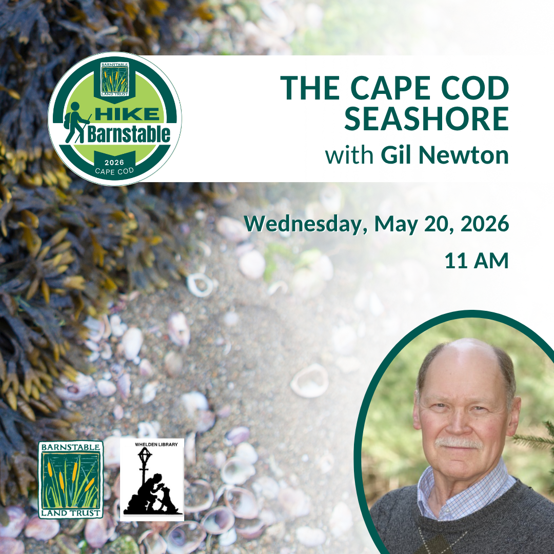 Cape Cod Seashore with Gil Newton (Partner Program)