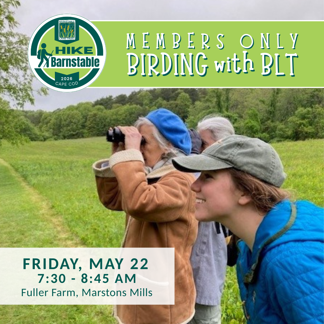 Members Only: Birding with BLT