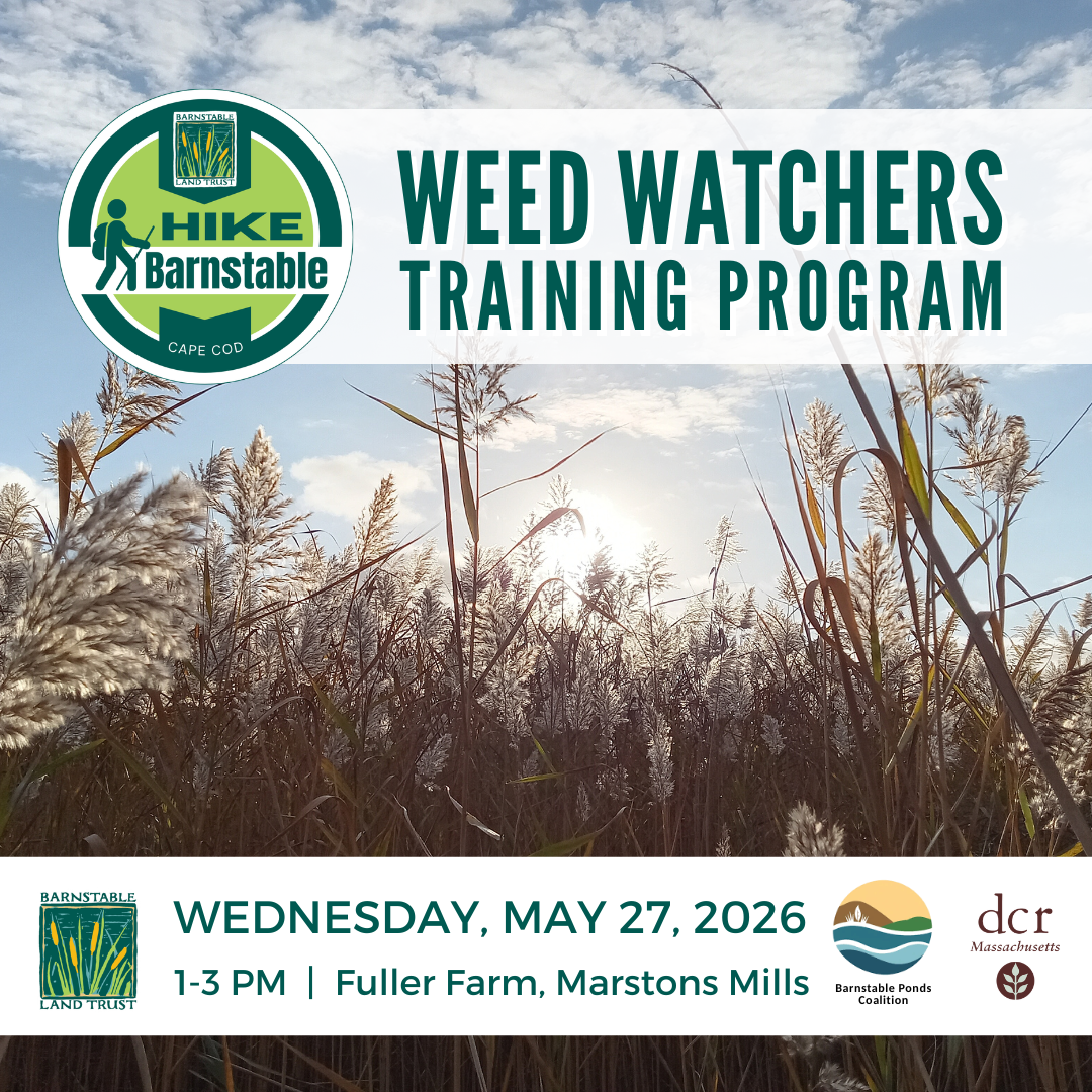 Weed Watchers Training Program