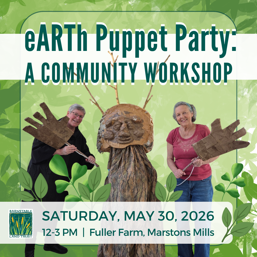 eARTh  Puppet  Party: A Community Workshop