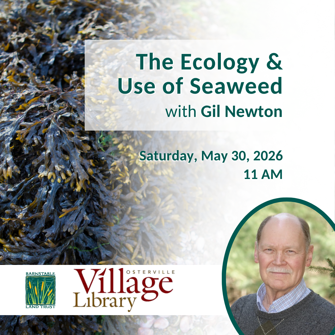 The Ecology and Use of Seaweed with Gil Newton (Partner Program)