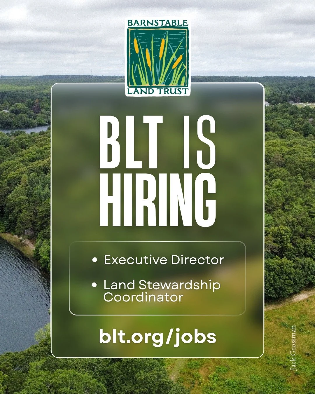 We're hiring! Join a team dedicated to protecting Cape Cod's open spaces and natural resources. Barnstable Land Trust has two exciting opportunities for passionate conservationists.

Learn more and apply: blt.org/jobs

#BarnstableLandTrust #BLTjobs #