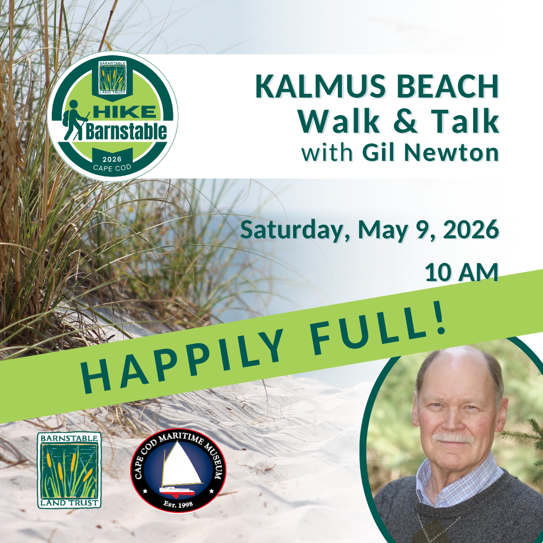 Kalmus Beach Walk &amp; Talk with Gil Newton