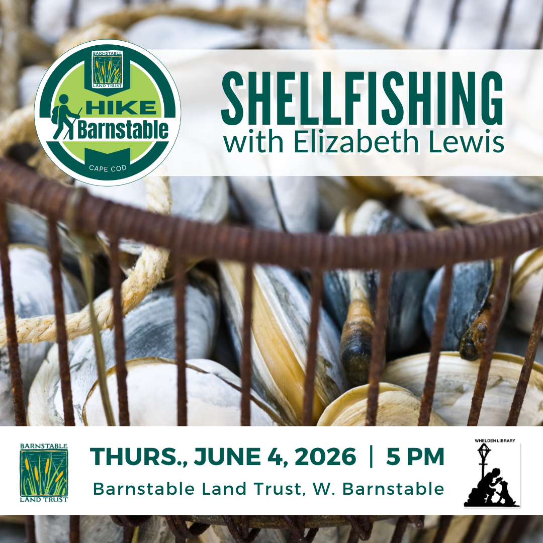 Shellfishing with Elizabeth Lewis (Partner Program)