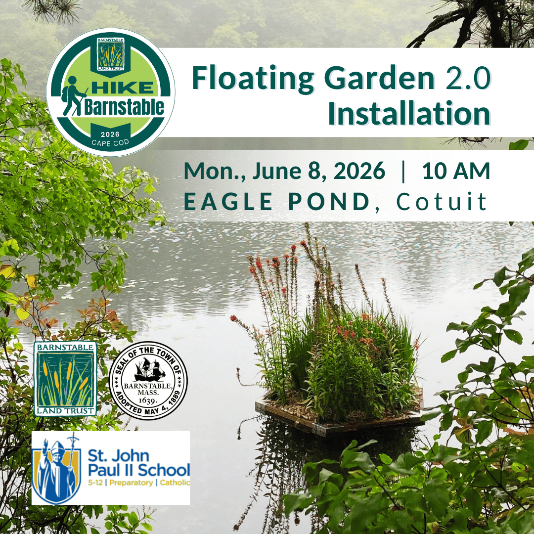 Floating Garden 2.0 Installation: An Ecological Innovation (Partner Program)