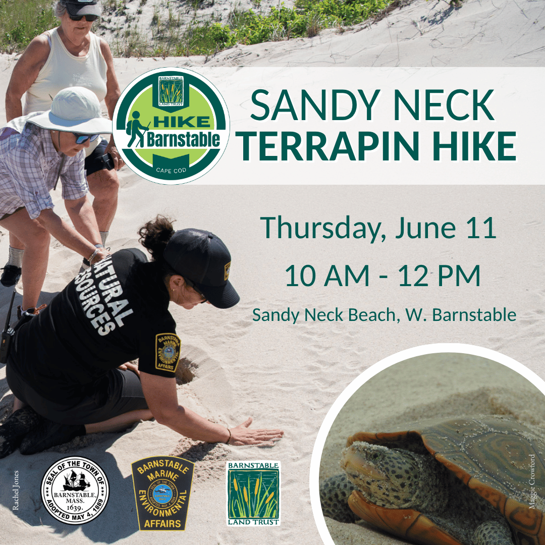 Sandy Neck Terrapin Hike (Partner Program)