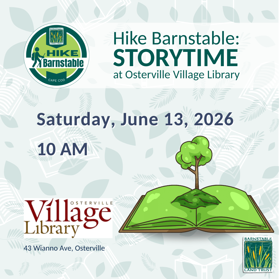 Hike Barnstable: Storytime at Osterville Village Library (Partner Program)