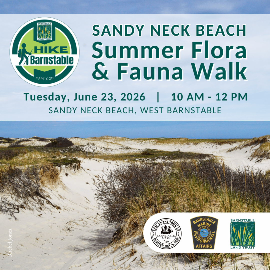 Sandy Neck Beach Summer Flora and Fauna Hike (Partner Program)