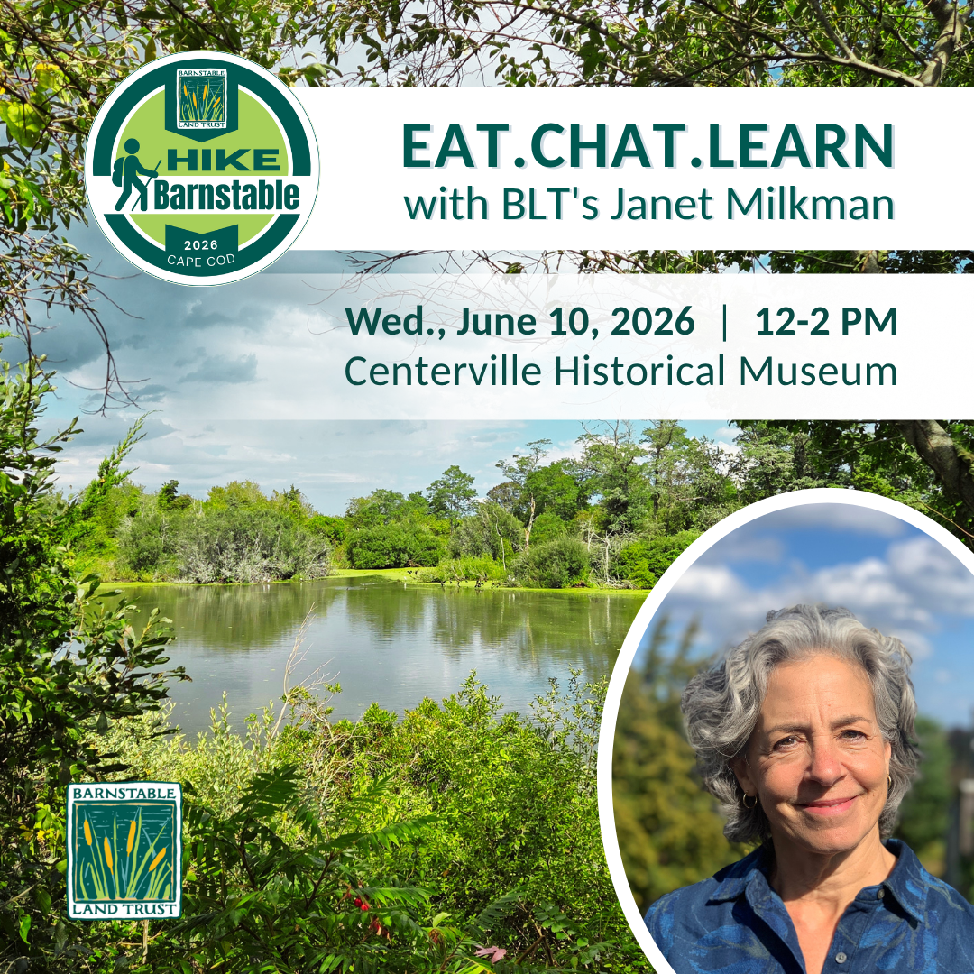 Eat.Chat.Learn with BLT's Janet Milkman (Partner Program)