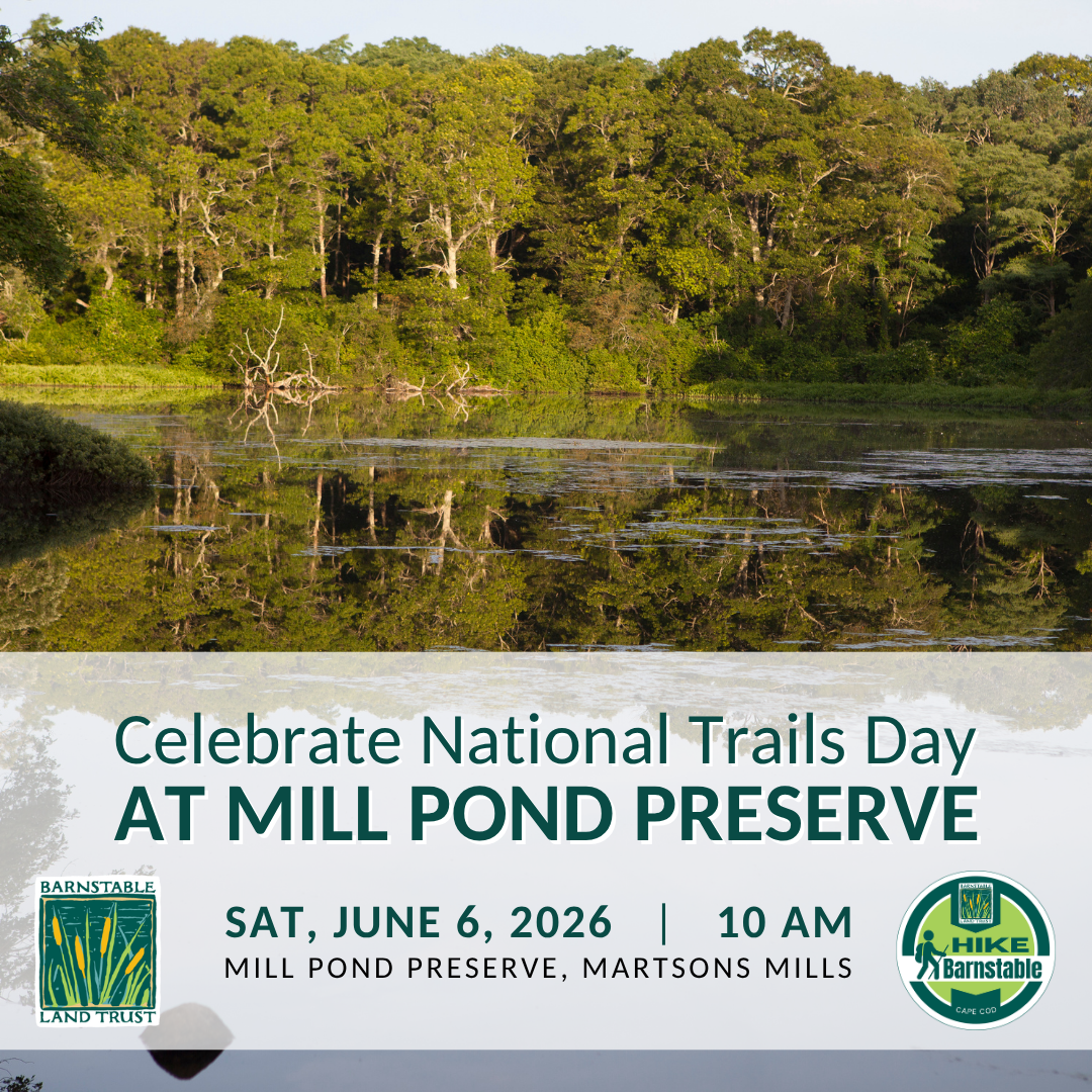 Celebrate National Trails Day at Mill Pond Preserve