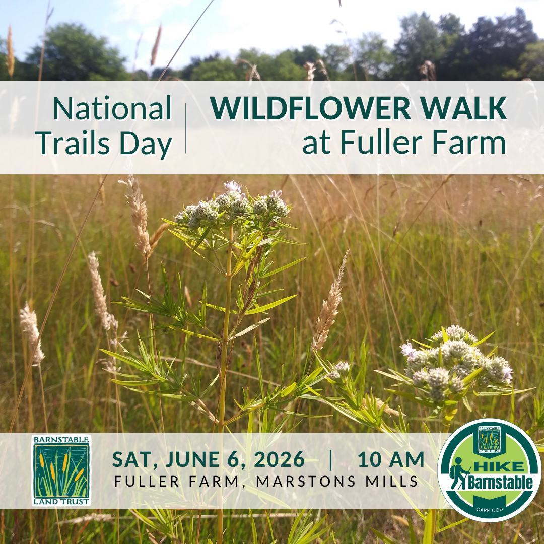 National Trails Day: Wildflower Walk at Fuller Farm