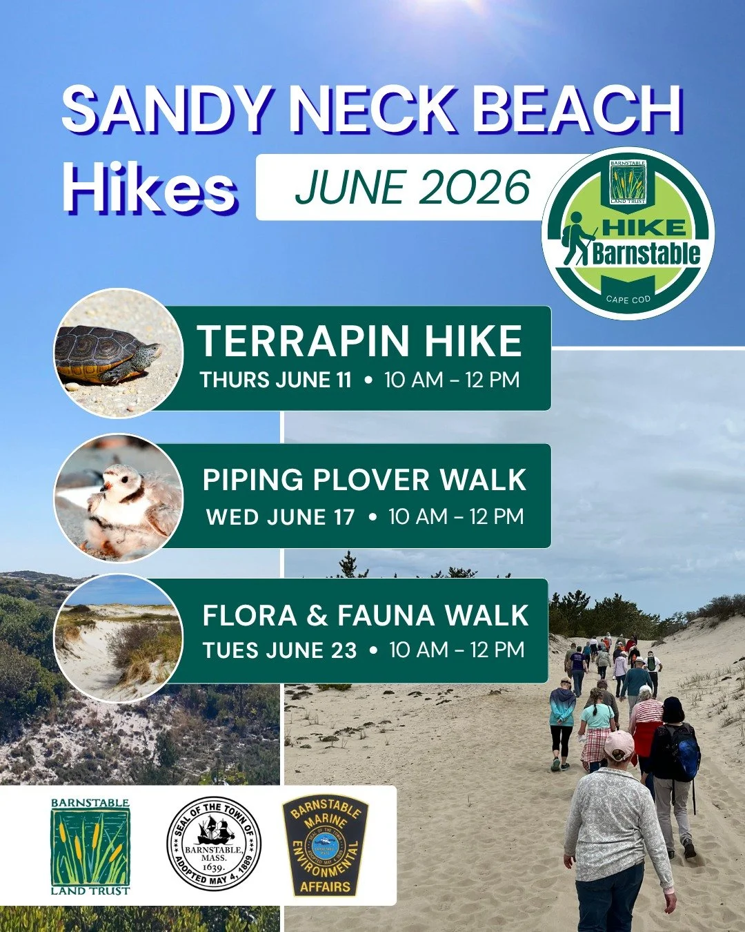 Three hikes. One extraordinary beach. Join BLT and Sandy Neck Park Staff at Sandy Neck Beach this June to discover terrapins, piping plovers, and the remarkable flora and fauna of Cape Cod&rsquo;s barrier beach ecosystem.

All hikes are free and part