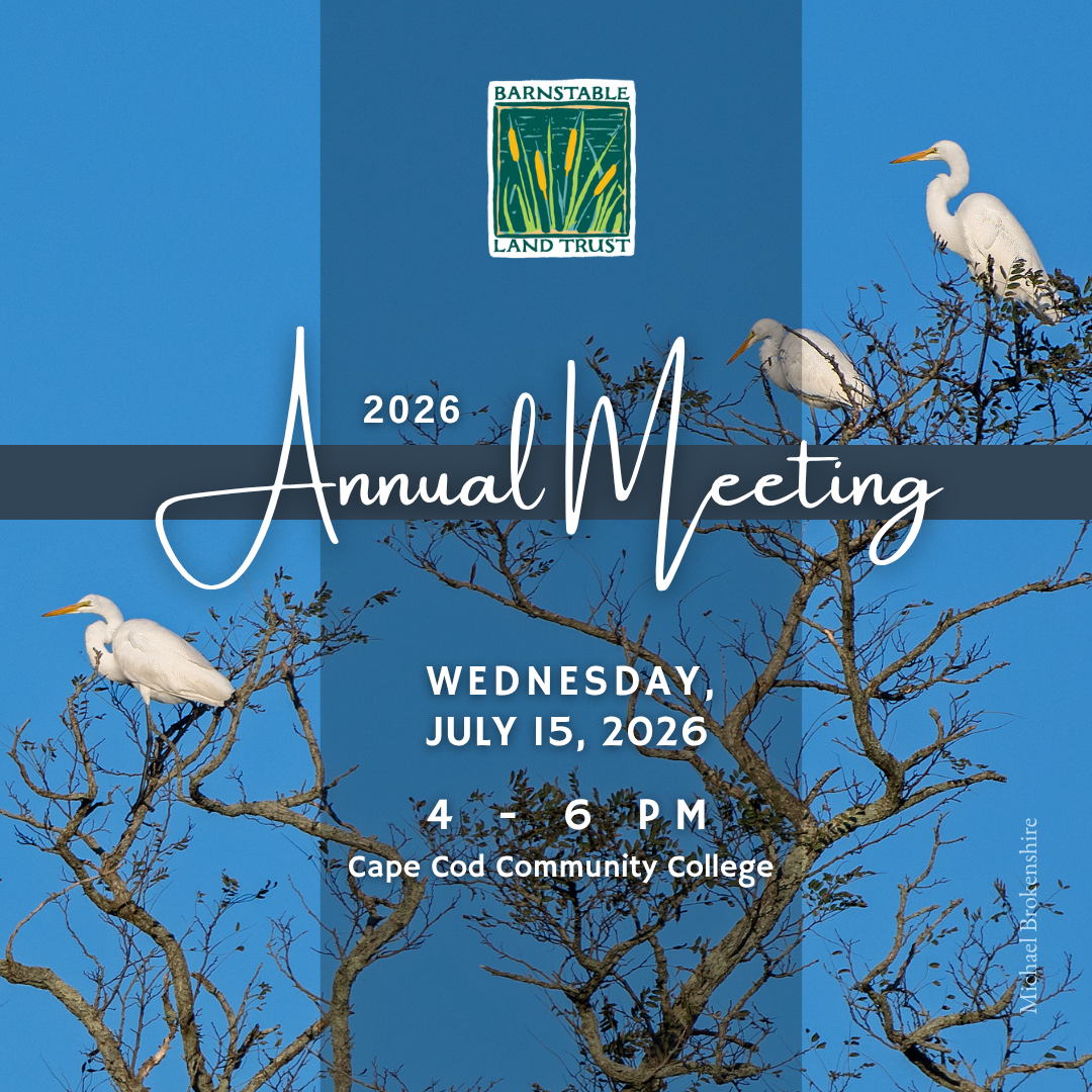 Annual Meeting