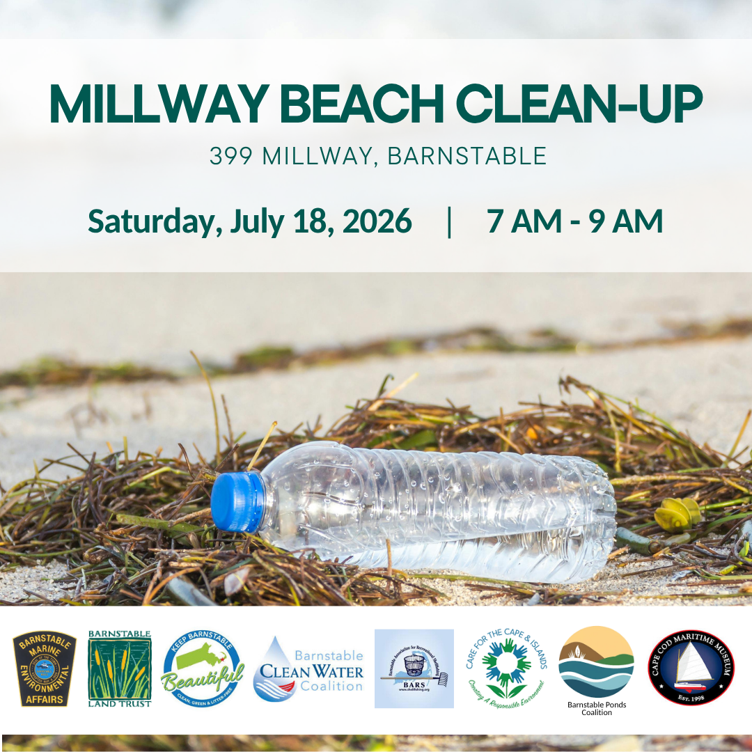 Millway Beach Clean-up