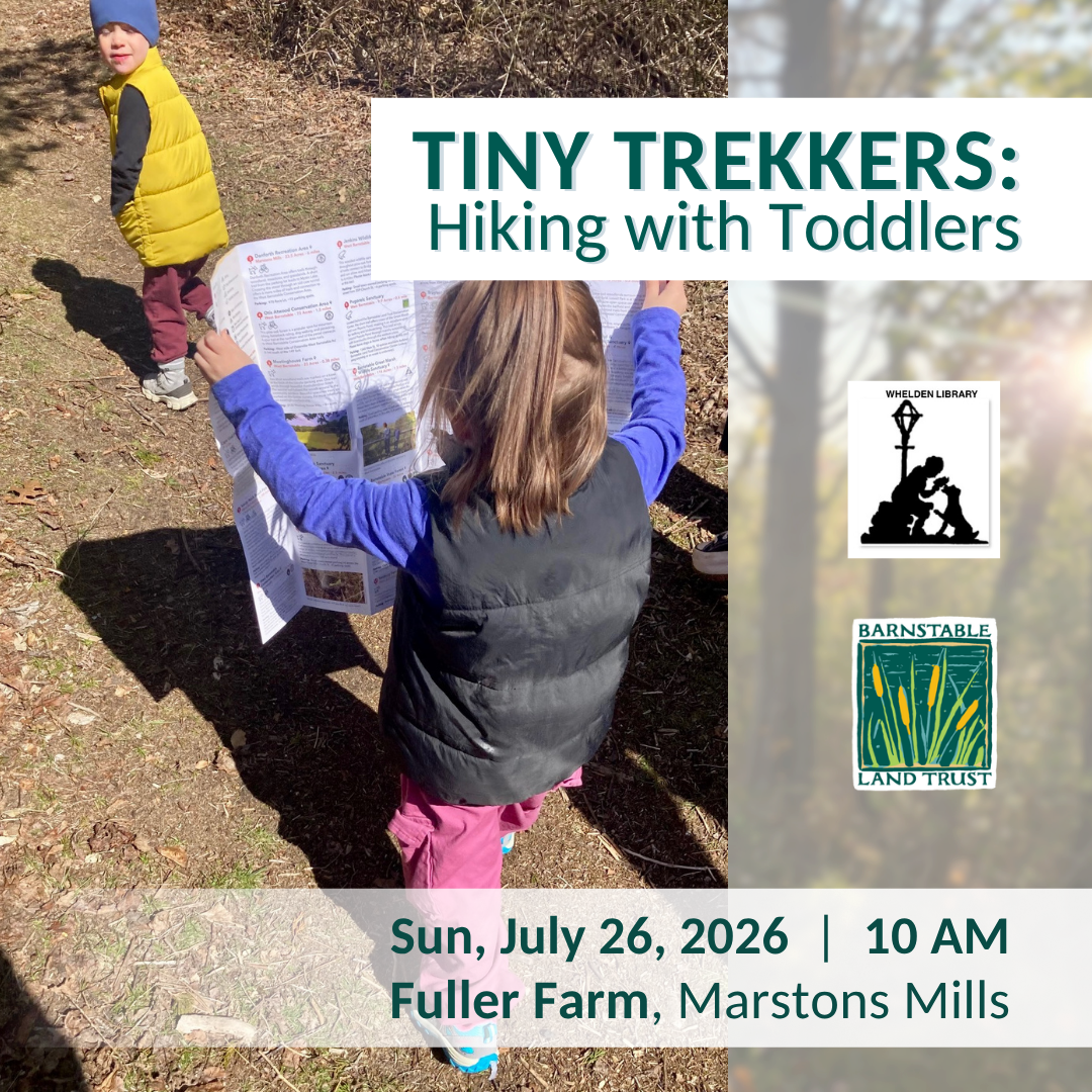Tiny Trekkers: Hiking with Toddlers (Partner Program)