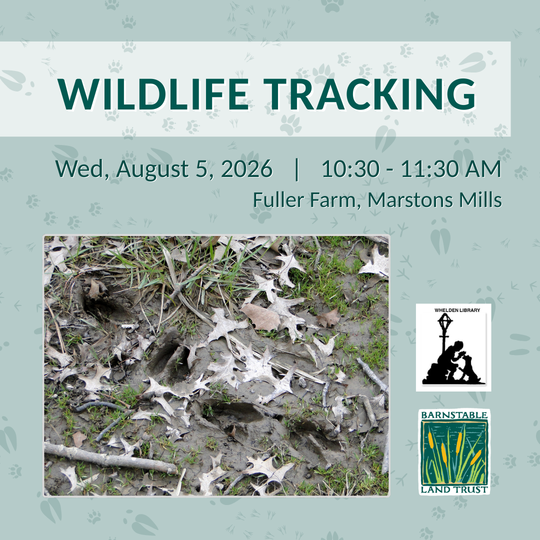 Wildlife Tracking (Partner Program)